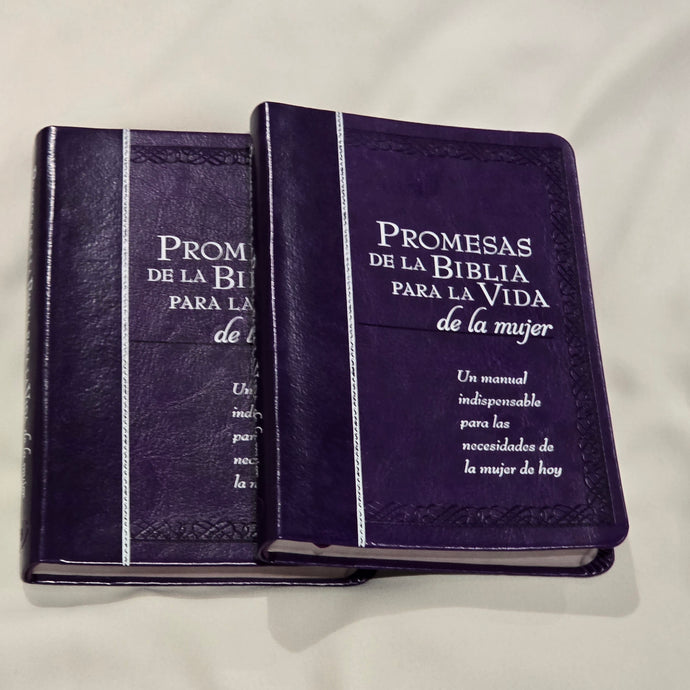 Bible Promesas de la Biblia para la vida de la mujer Book
