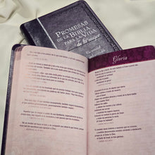 Bible Promesas de la Biblia para la vida de la mujer Book